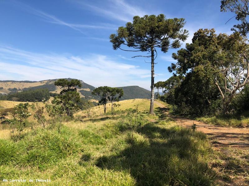 Terreno com vista panorâmica. Chegou a hora de realizar o sonho da casa no campo | Toledo - MG  | código 1039