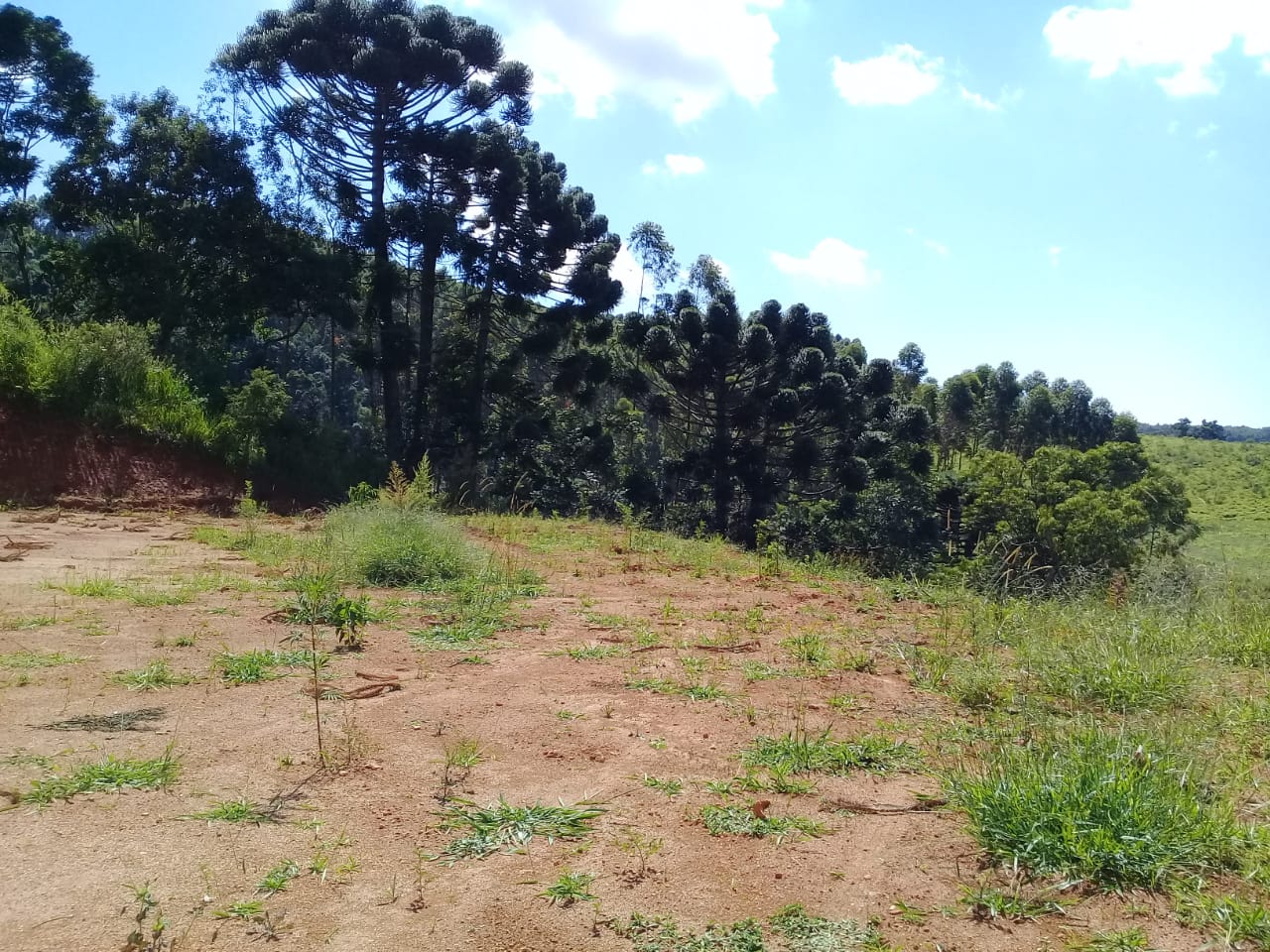 Terreno com vista panorâmica. Chegou a hora de realizar o sonho da casa no campo | Toledo - MG  | código 1039