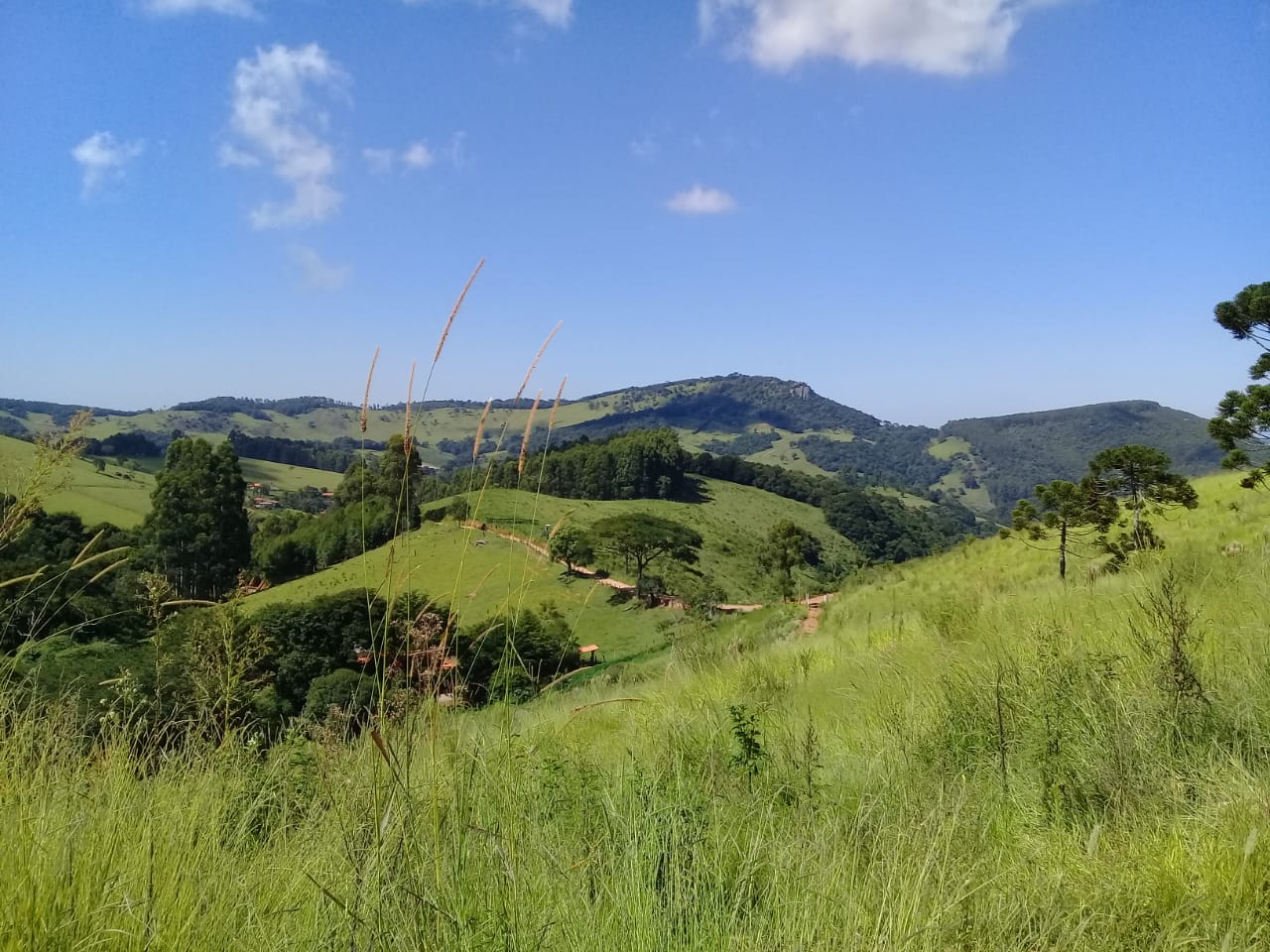 Terreno com vista panorâmica. Chegou a hora de realizar o sonho da casa no campo | Toledo - MG  | código 1039