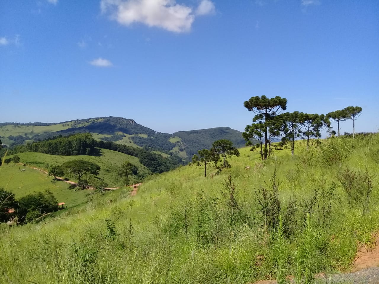 Terreno com vista panorâmica. Chegou a hora de realizar o sonho da casa no campo | Toledo - MG  | código 1039