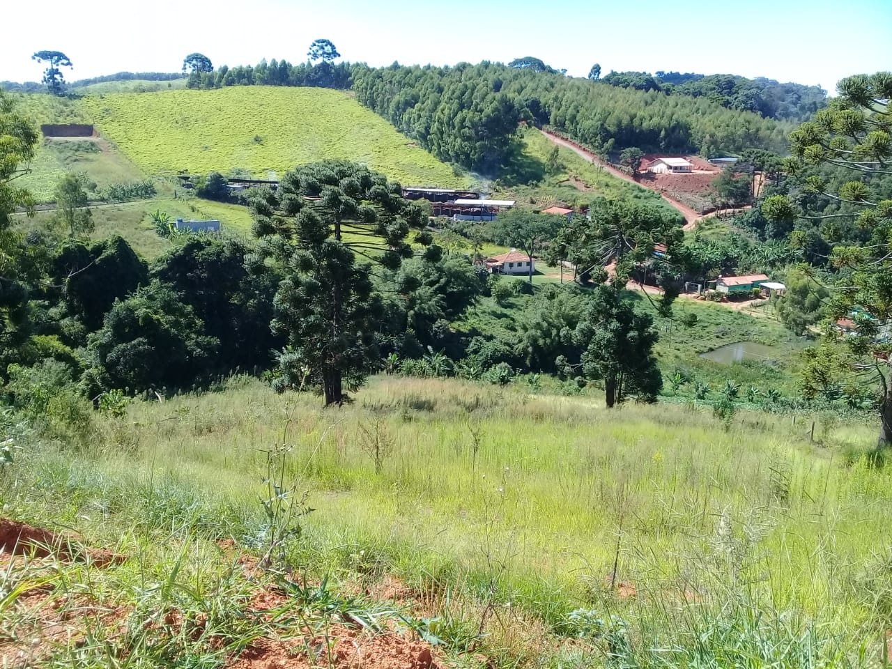 Terreno com vista panorâmica. Chegou a hora de realizar o sonho da casa no campo | Toledo - MG  | código 1039