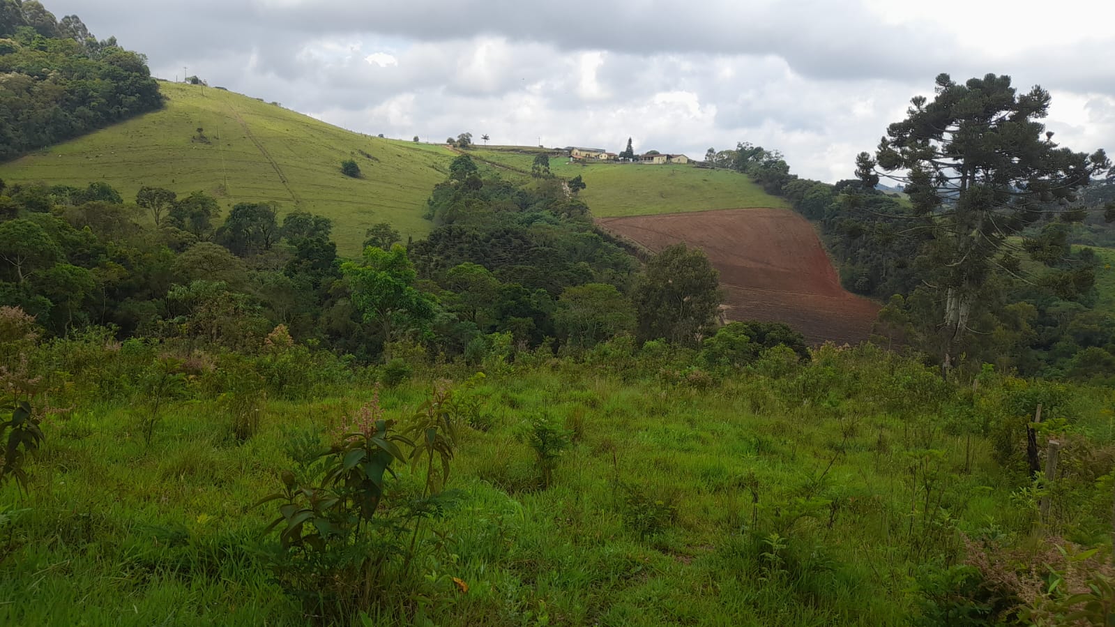 Sítio - Perfeito para Desenvolvimento Residencial ou Agro pecuário |Itapeva - MG  | código 1042