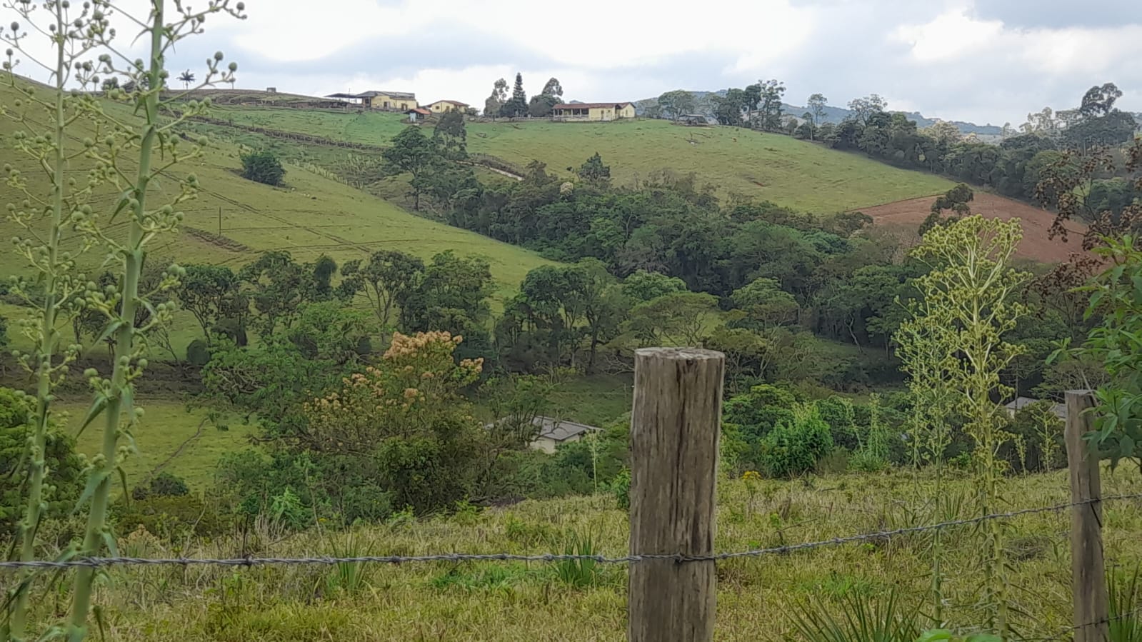 Sítio - Perfeito para Desenvolvimento Residencial ou Agro pecuário |Itapeva - MG  | código 1042