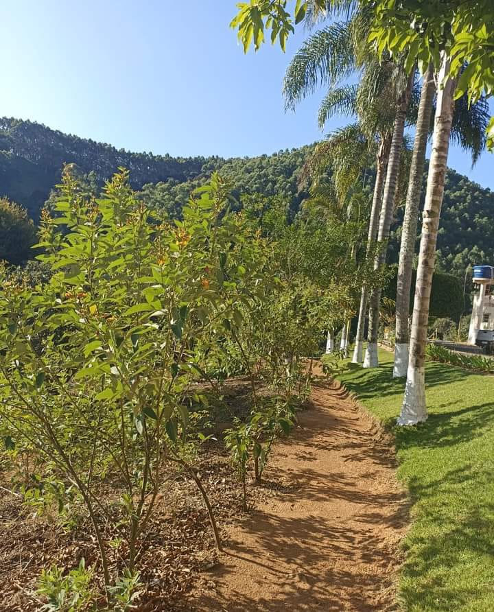 Chácara, casa com 4 quartos, piscina, nascente 8 km da cidade | Camanducaia - MG  | código 1044