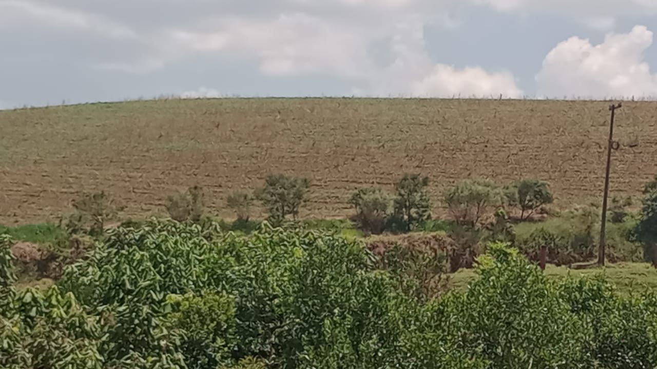 Área industrial com ampla vista panorâmica em Itapeva-MG  | código 1049