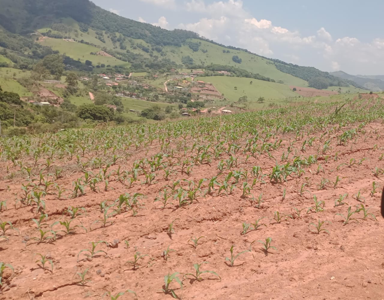 Área industrial com ampla vista panorâmica em Itapeva-MG  | código 1049