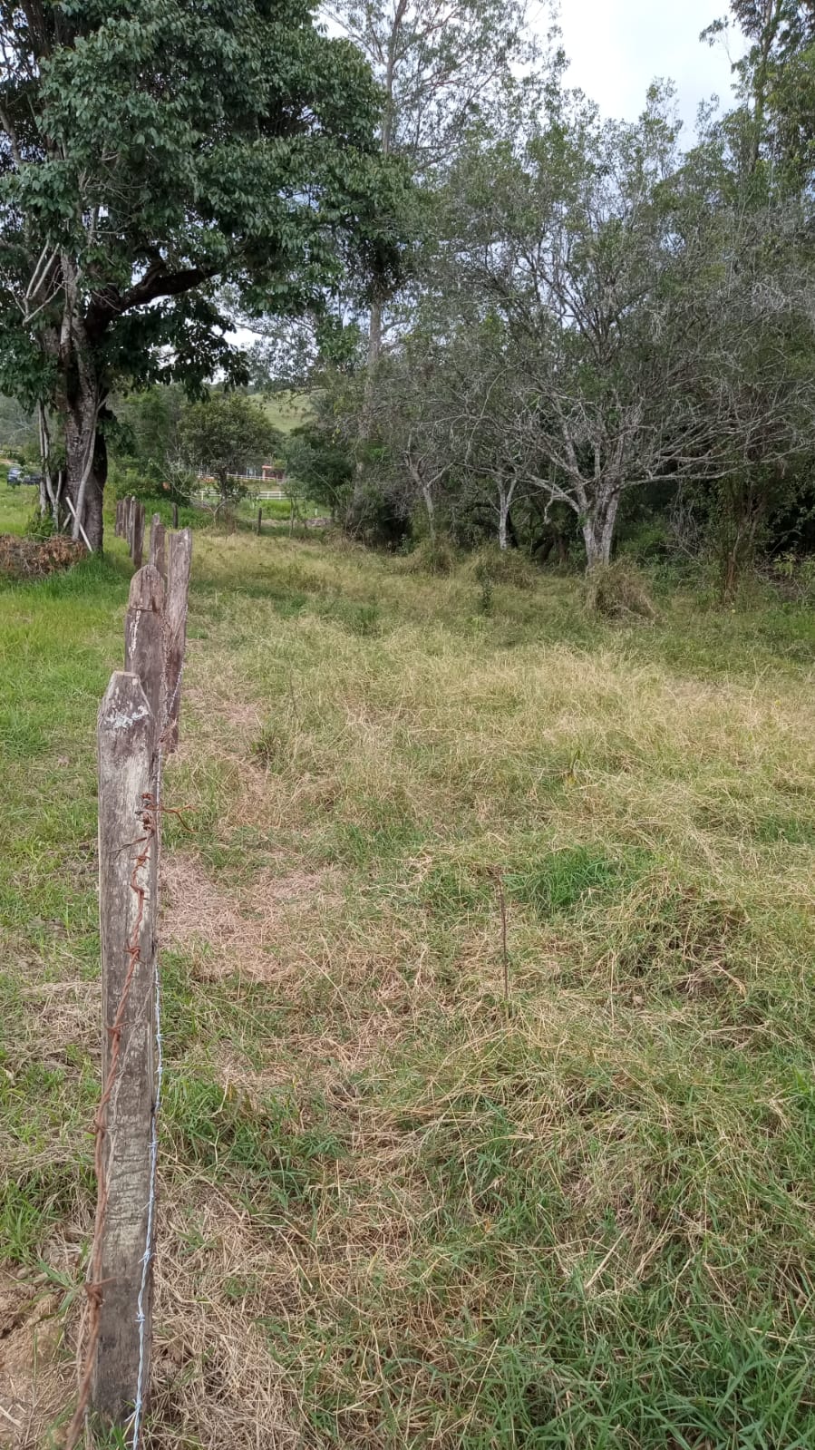 Terreno para formar chácara com lago, local de fácil acesso | Itapeva - MG  | código 1050