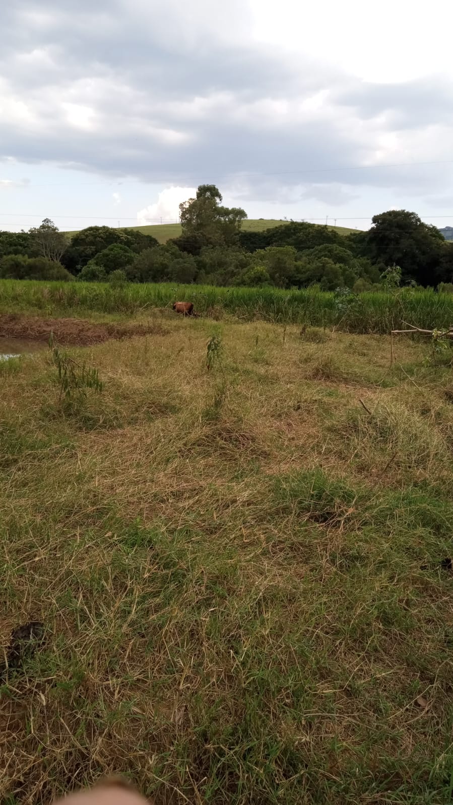 Terreno para formar chácara com lago, local de fácil acesso | Itapeva - MG  | código 1050