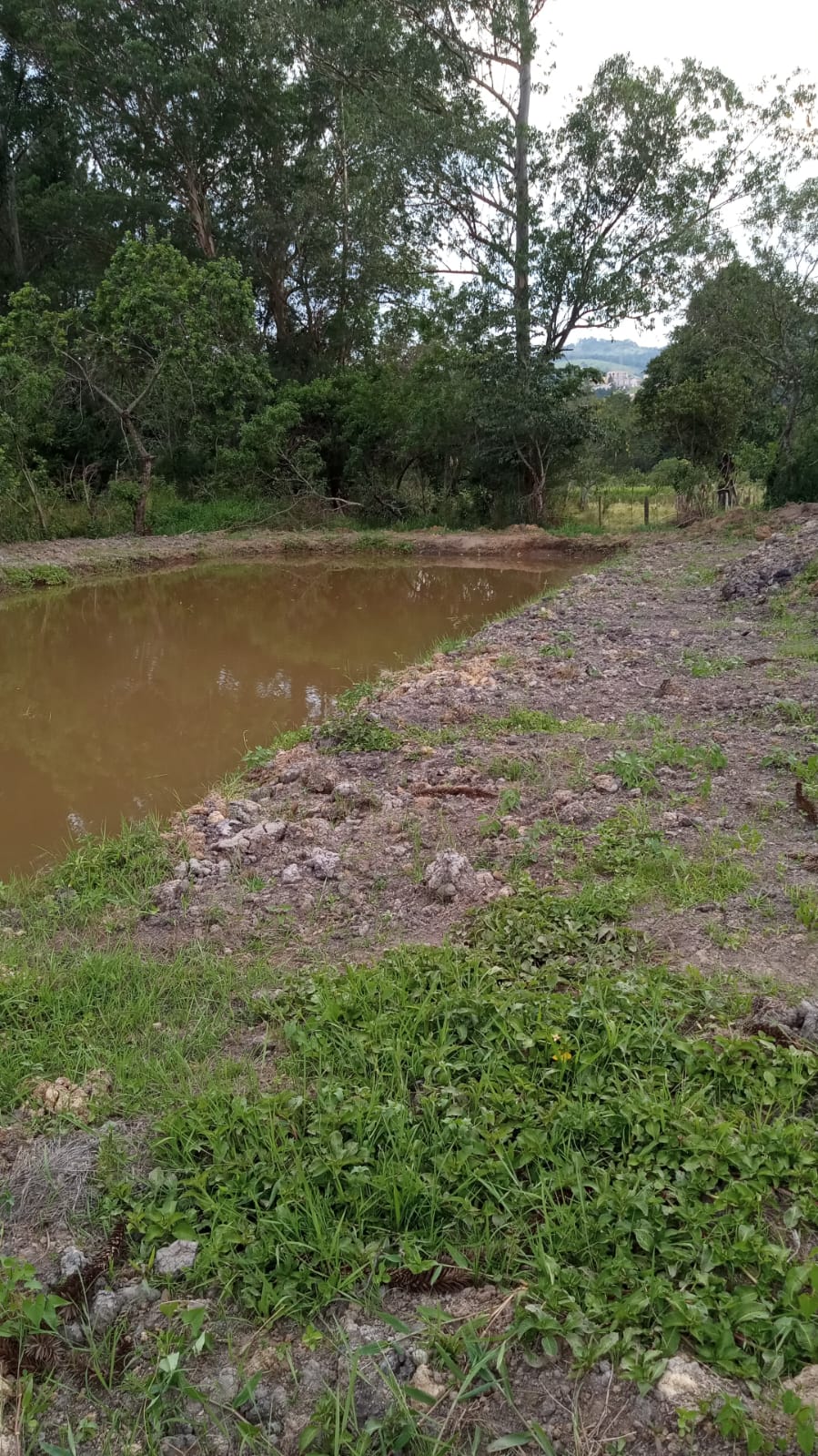 Terreno para formar chácara com lago, local de fácil acesso | Itapeva - MG  | código 1050