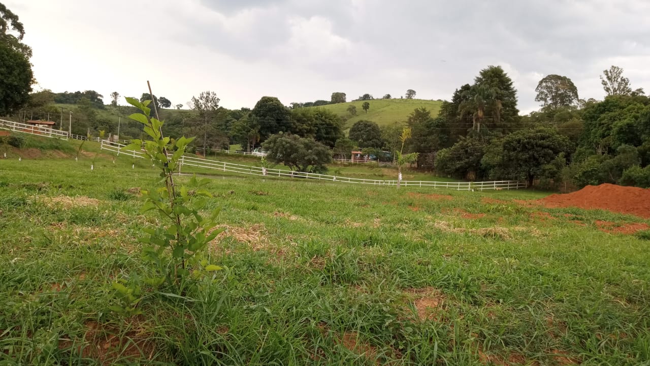 Terreno para formar chácara com lago, local de fácil acesso | Itapeva - MG  | código 1050