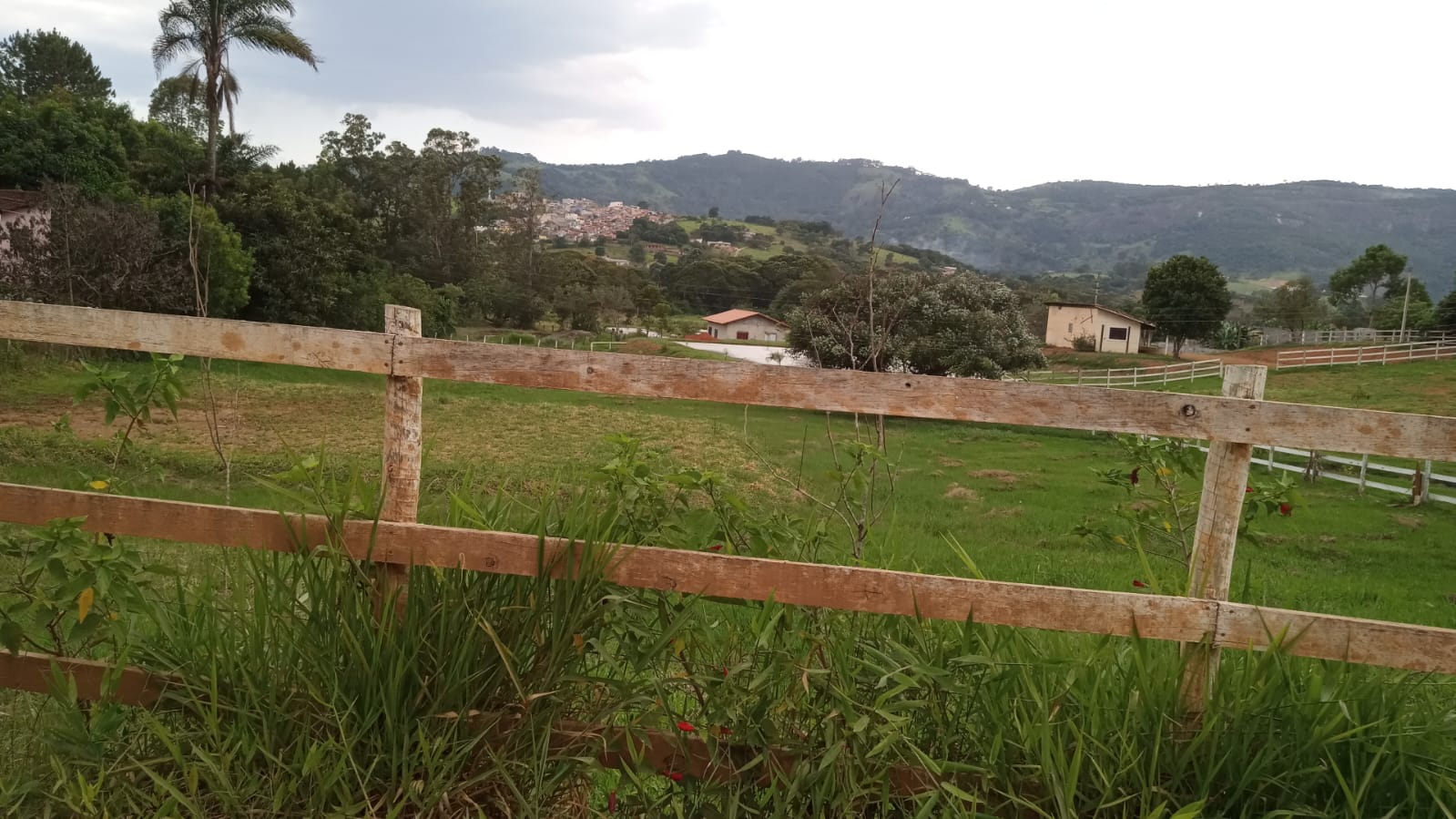 Terreno para formar chácara em Itapeva MG  | código 1051