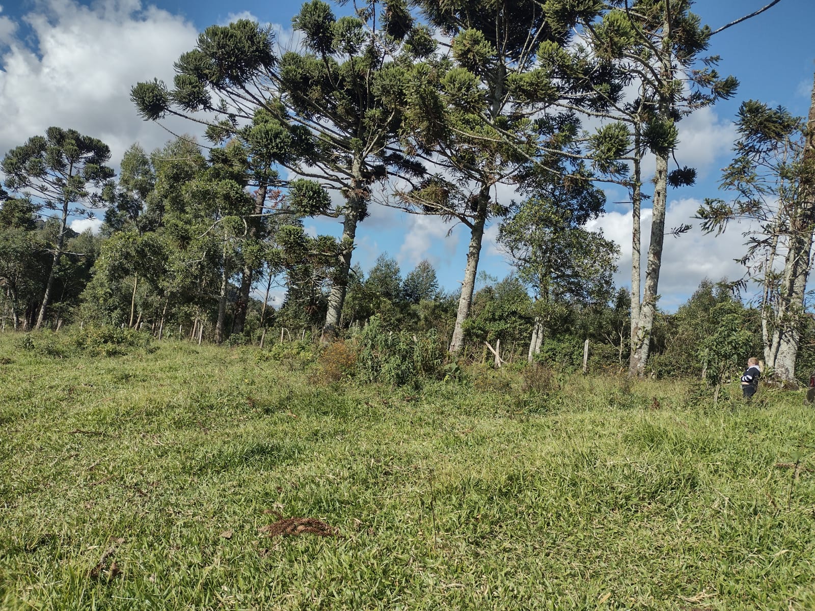 Terreno para formação de chácara, excelente local. | Extrema - MG  | código 1053