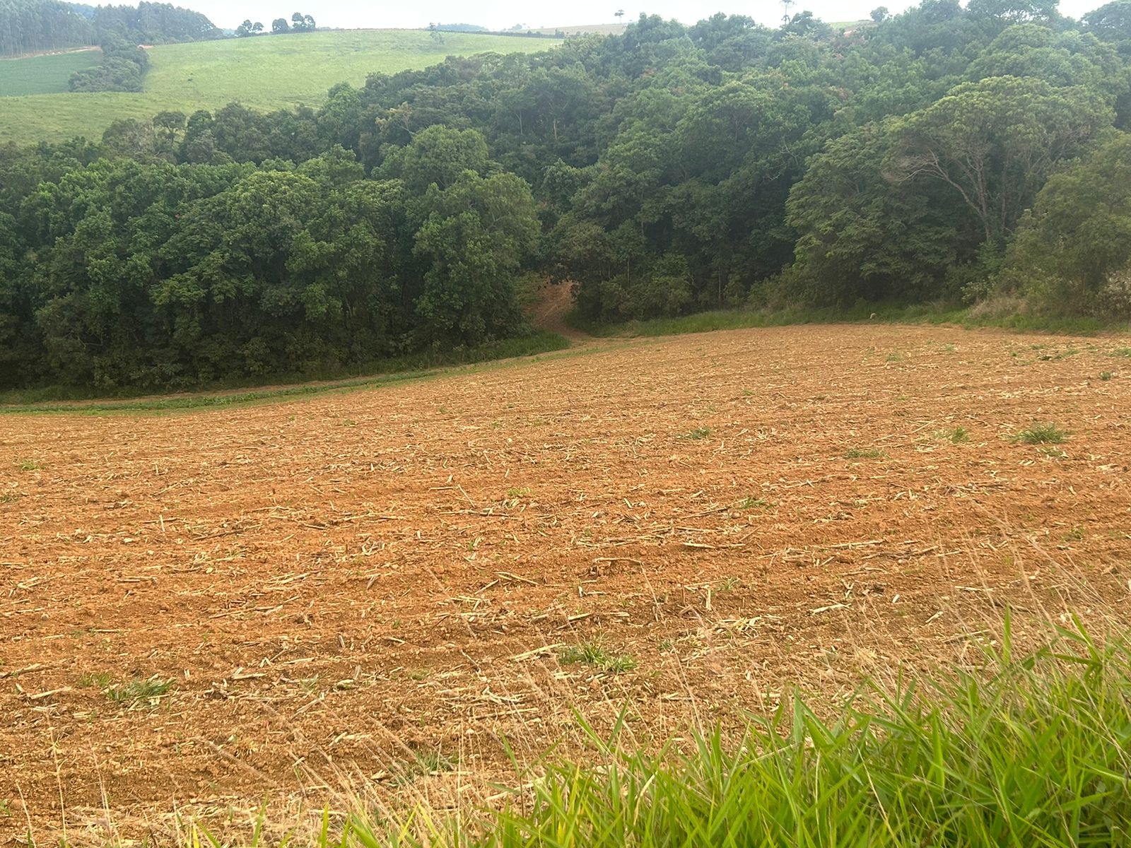 Sitio com água para diversas cultura; plantio de batata, mandioquinha, morango. | Espirito Santo Dourado  | código 1056