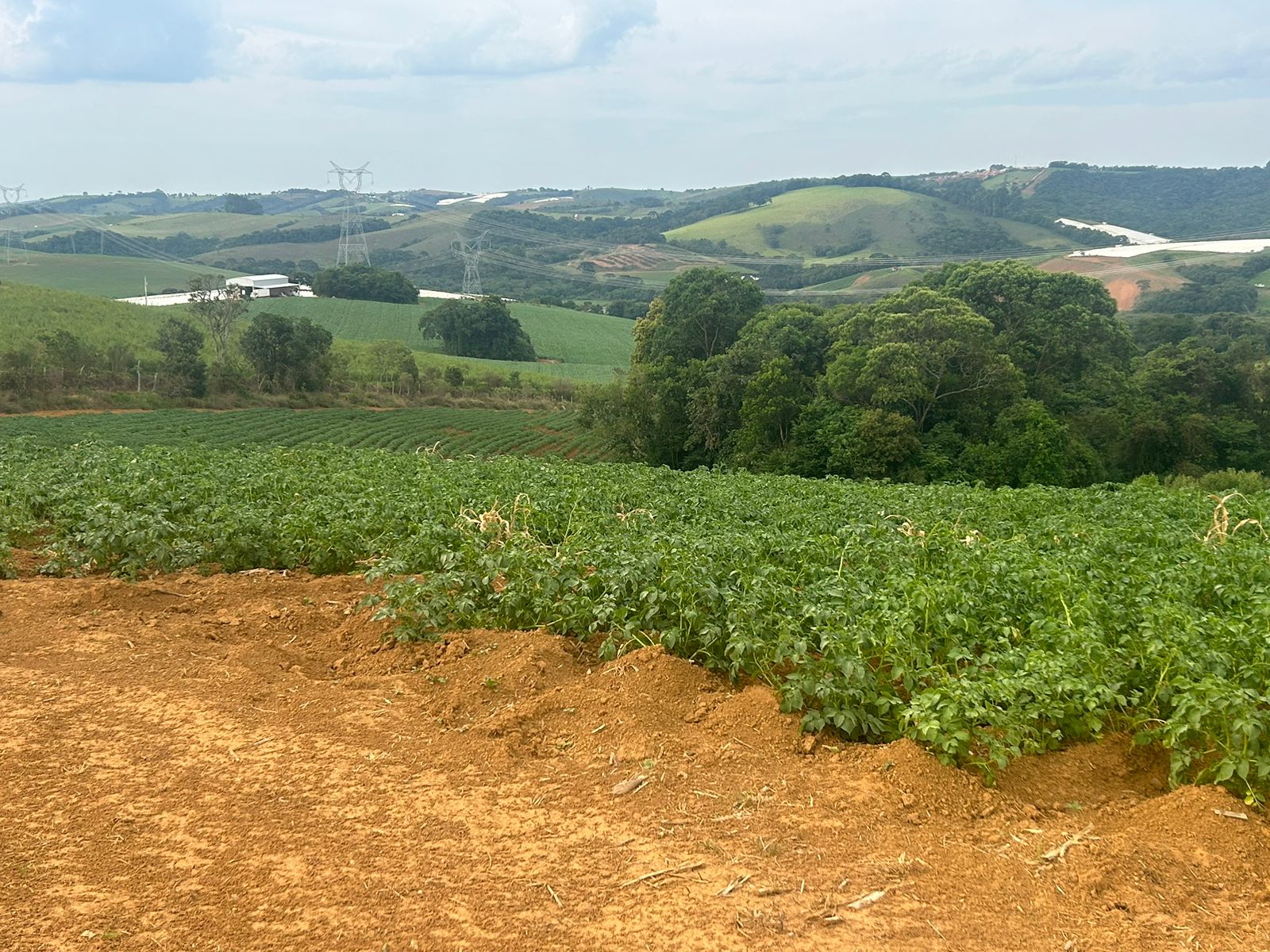 Sitio com água para diversas cultura; plantio de batata, mandioquinha, morango. | Espirito Santo Dourado  | código 1056