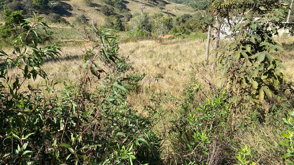 Terreno para formar chácara - Imperdível - apenas 80 mil em Extrema | MG  | código 1060