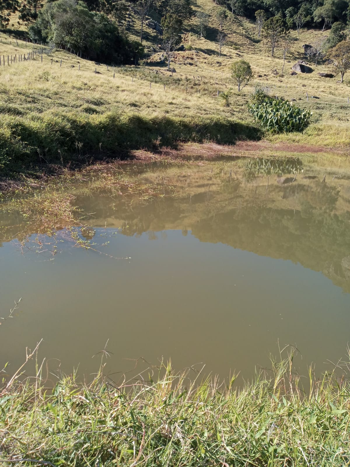 Belíssimo Sitio com casa avarandada com 3 quartos, lago para pesca - Munhoz -MG  | código 1073