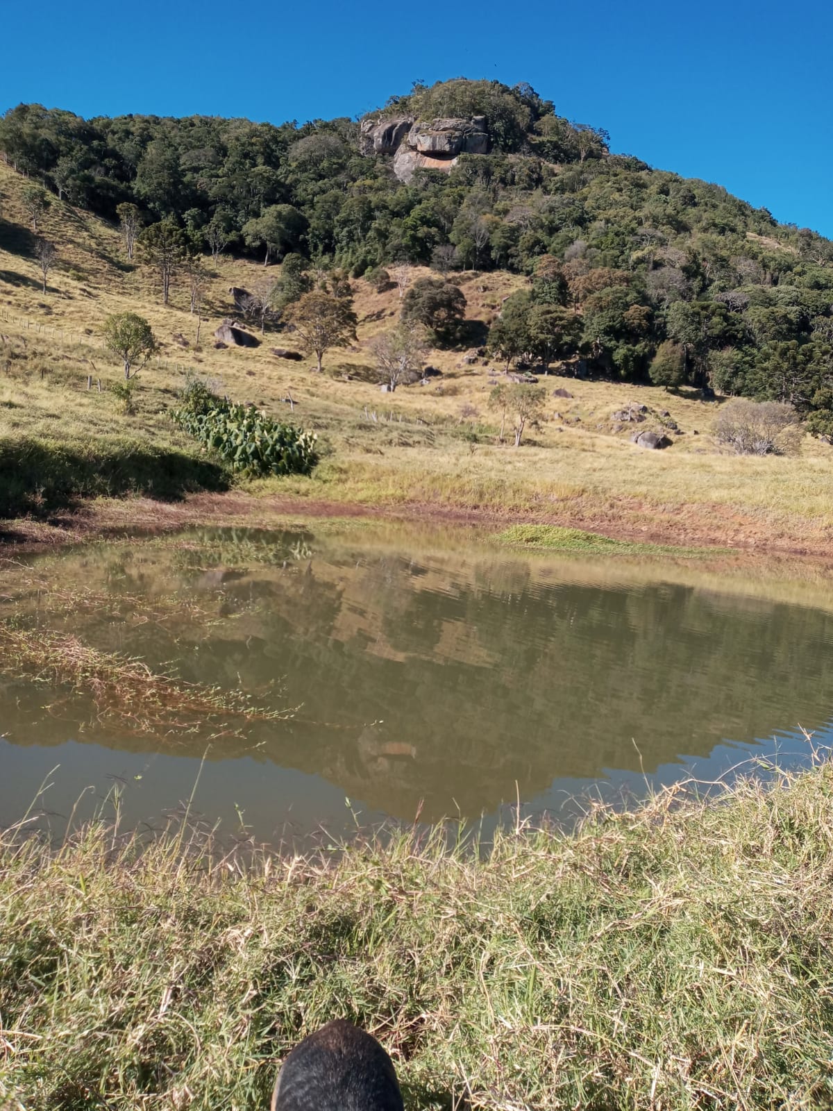 Belíssimo Sitio com casa avarandada com 3 quartos, lago para pesca - Munhoz -MG  | código 1073