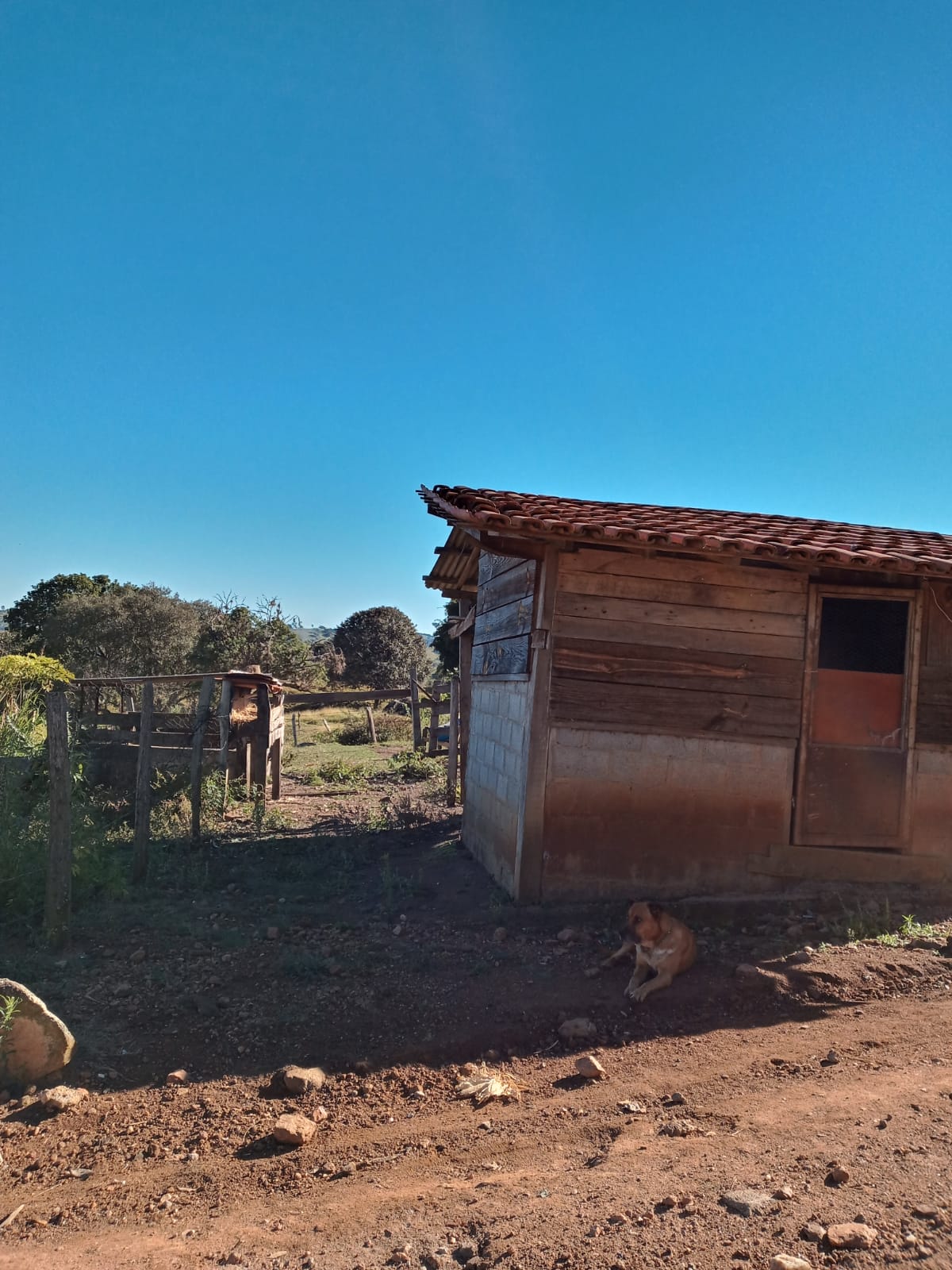 Belíssimo Sitio com casa avarandada com 3 quartos, lago para pesca - Munhoz -MG  | código 1073