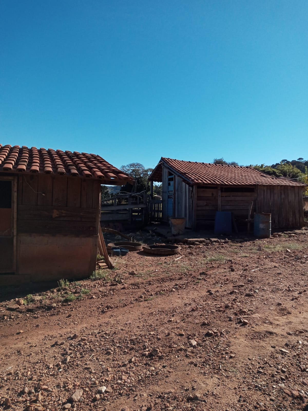Belíssimo Sitio com casa avarandada com 3 quartos, lago para pesca - Munhoz -MG  | código 1073