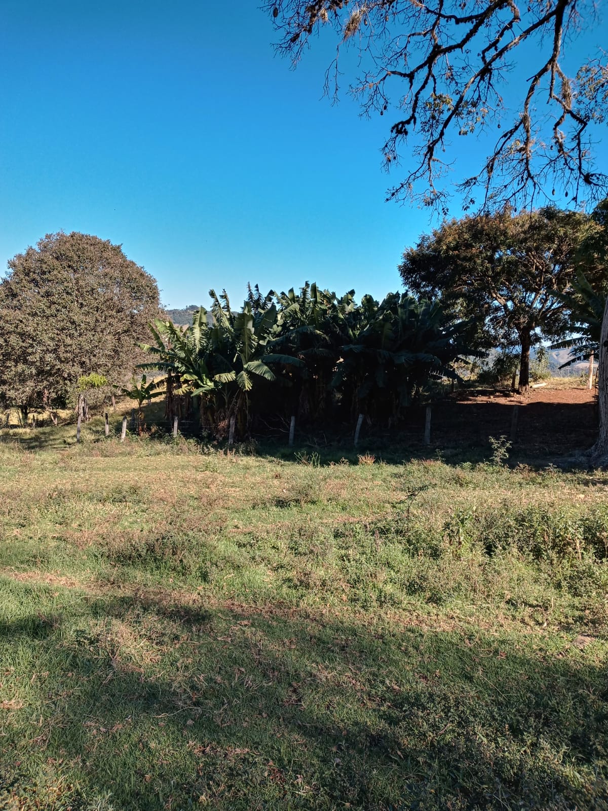 Belíssimo Sitio com casa avarandada com 3 quartos, lago para pesca - Munhoz -MG  | código 1073