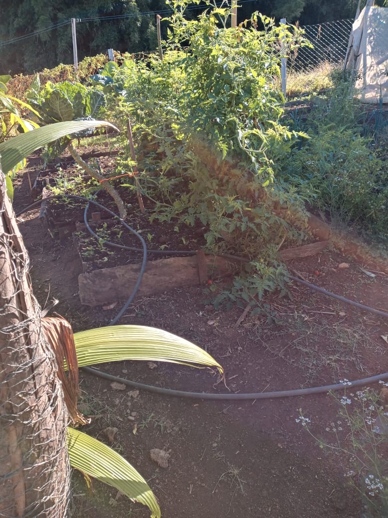 Belíssimo Sitio com casa avarandada com 3 quartos, lago para pesca - Munhoz -MG  | código 1073