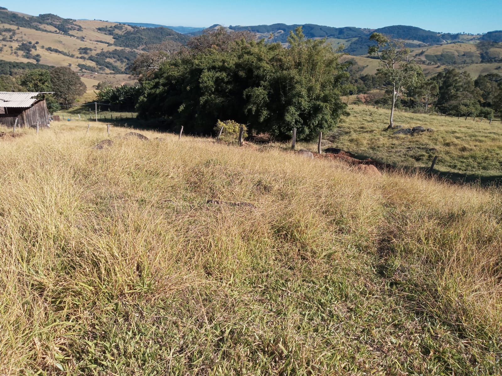 Belíssimo Sitio com casa avarandada com 3 quartos, lago para pesca - Munhoz -MG  | código 1073