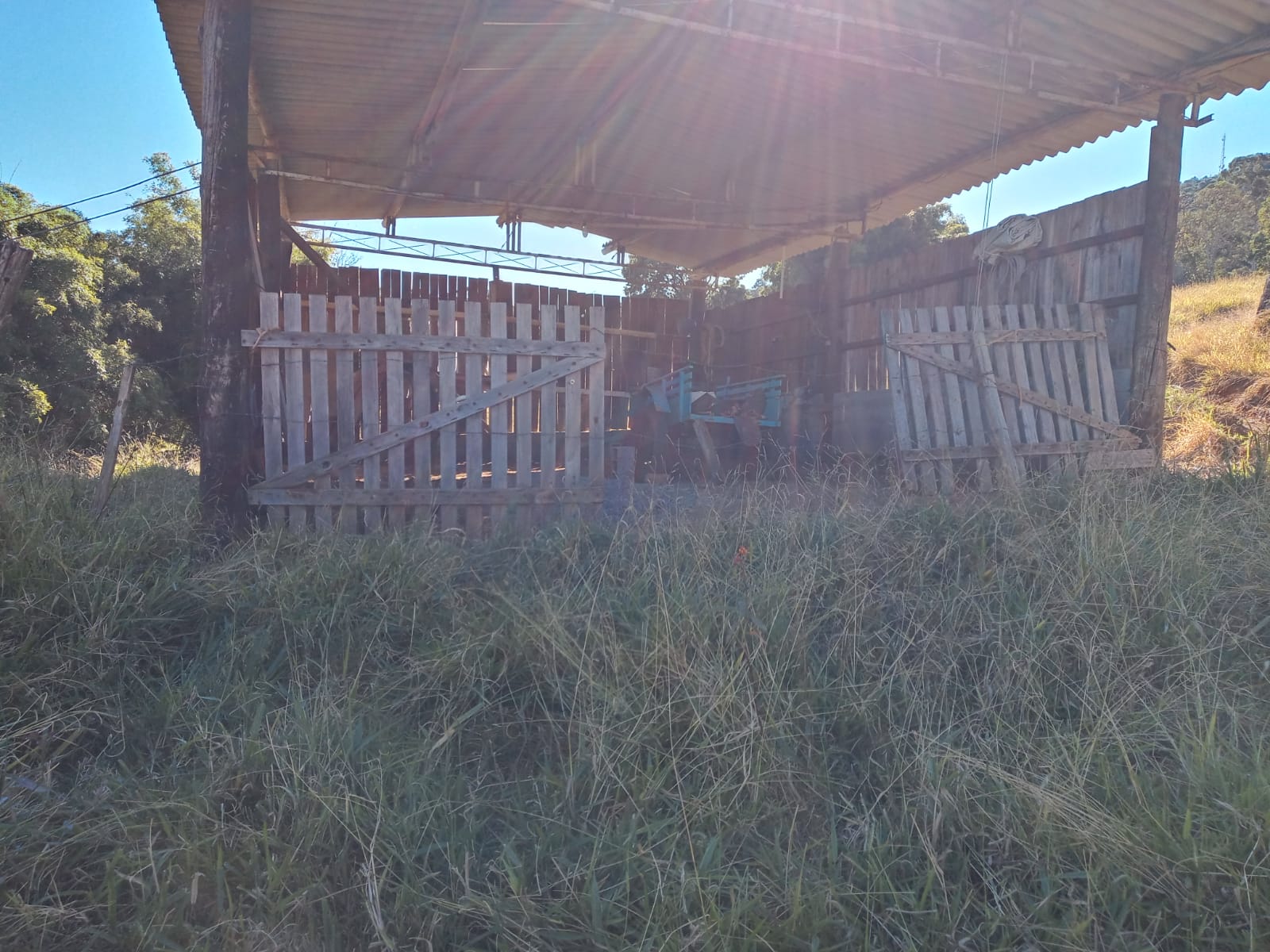 Belíssimo Sitio com casa avarandada com 3 quartos, lago para pesca - Munhoz -MG  | código 1073