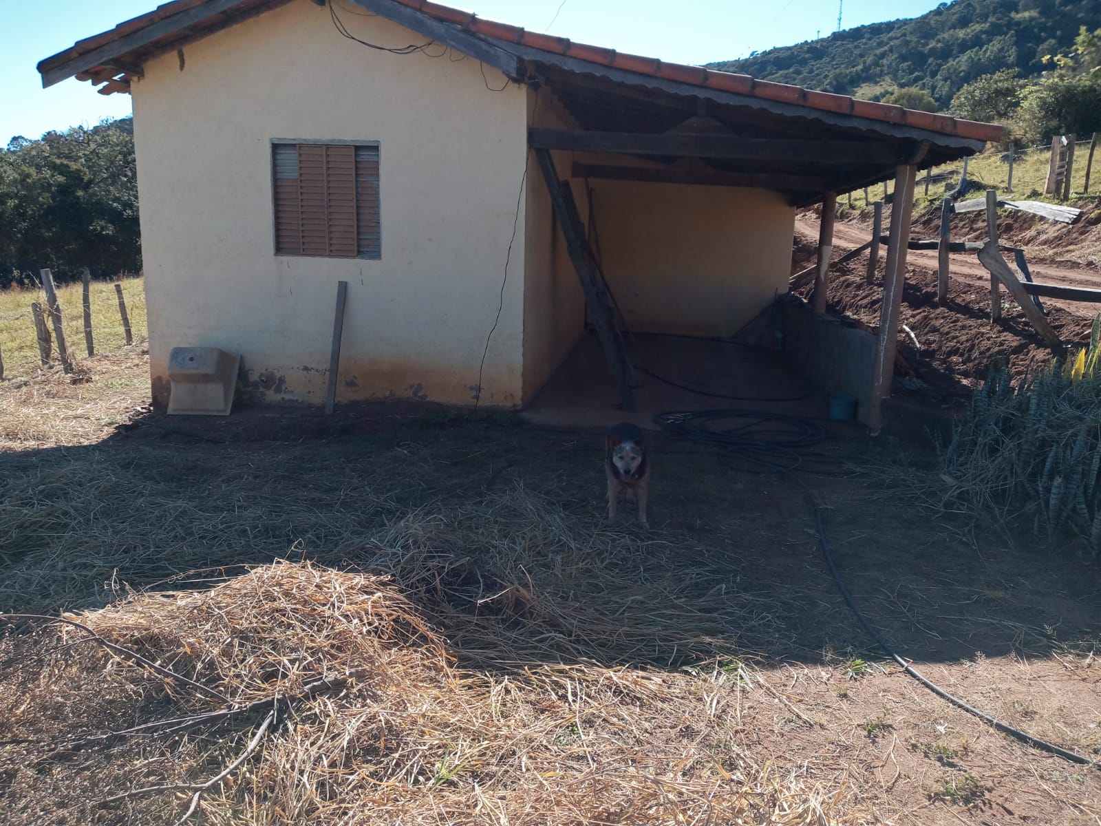 Belíssimo Sitio com casa avarandada com 3 quartos, lago para pesca - Munhoz -MG  | código 1073