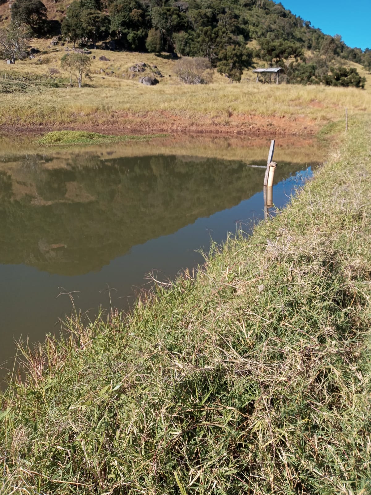 Belíssimo Sitio com casa avarandada com 3 quartos, lago para pesca - Munhoz -MG  | código 1073