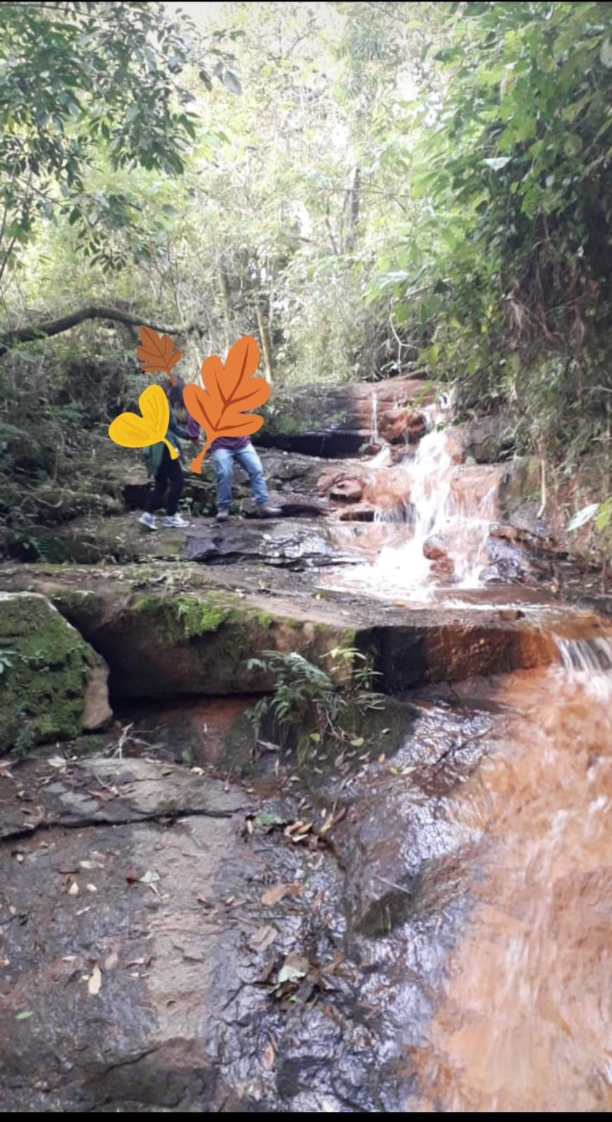 Excelente sítio, riquíssimo em água, tanques de peixes, localizado em Toledo MG  | código 1071