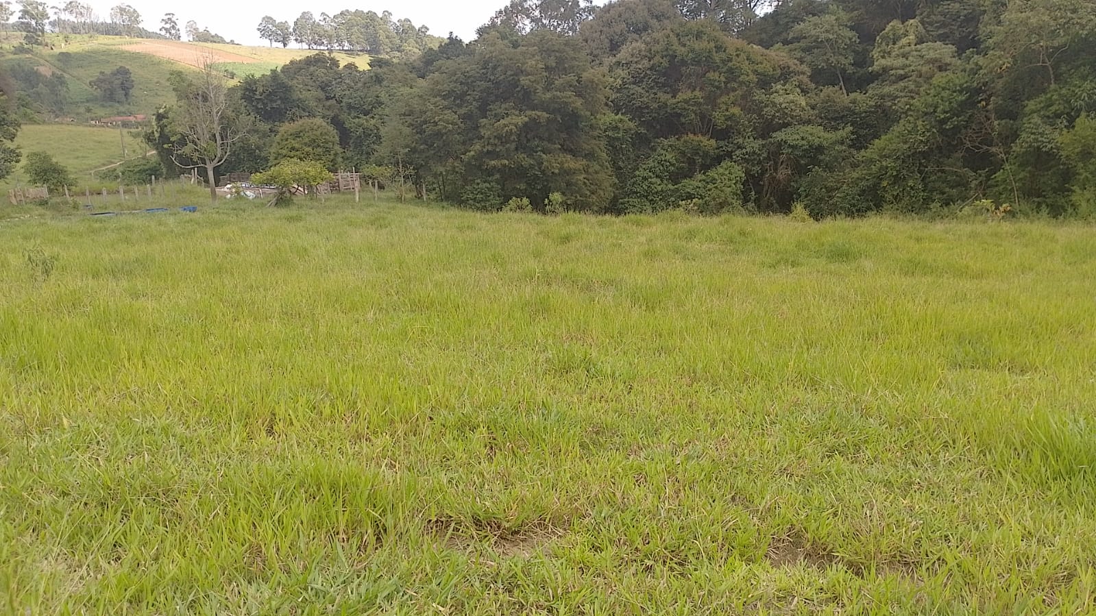 Sitio - com lago, nascente, tanques de água, casa ótima chegada na cidade de Pedra Bela -  | Código 1077