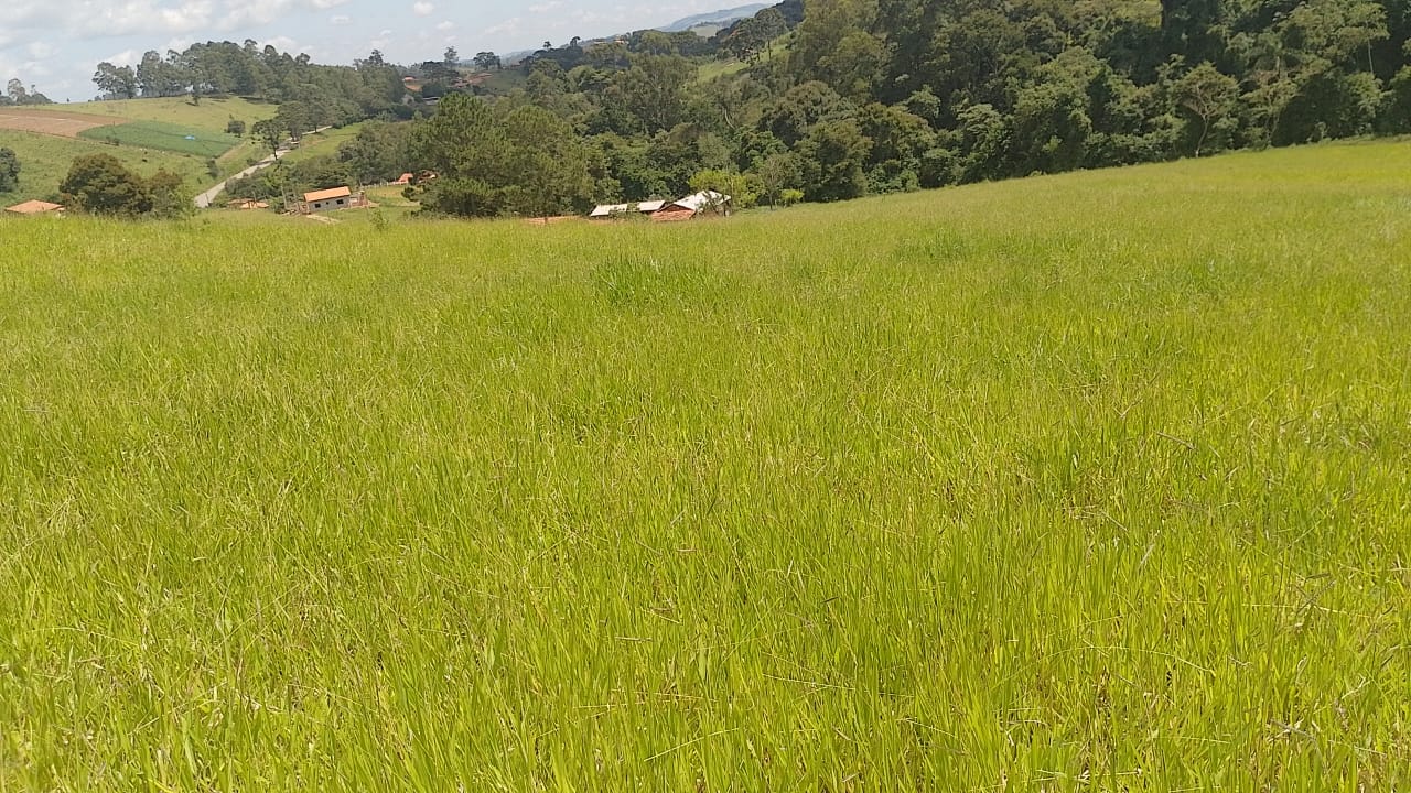 Sitio - com lago, nascente, tanques de água, casa ótima chegada na cidade de Pedra Bela -  | Código 1077