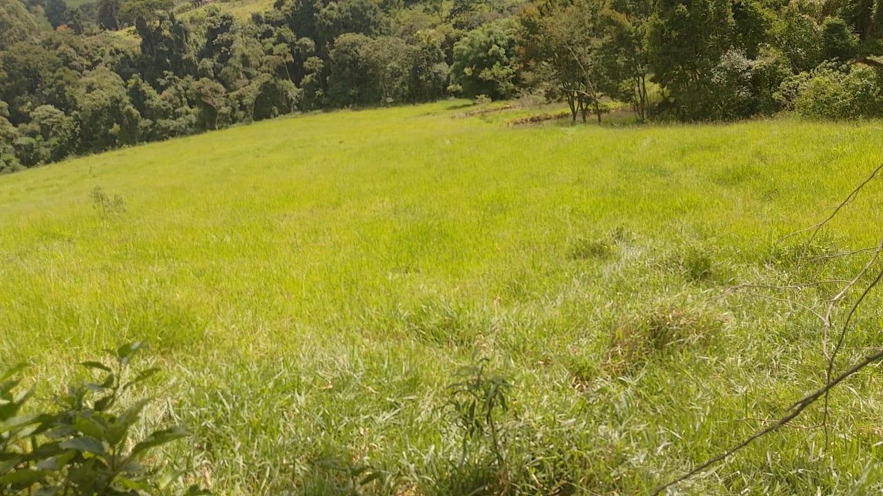 Sitio - com lago, nascente, tanques de água, casa ótima chegada na cidade de Pedra Bela -  | Código 1077