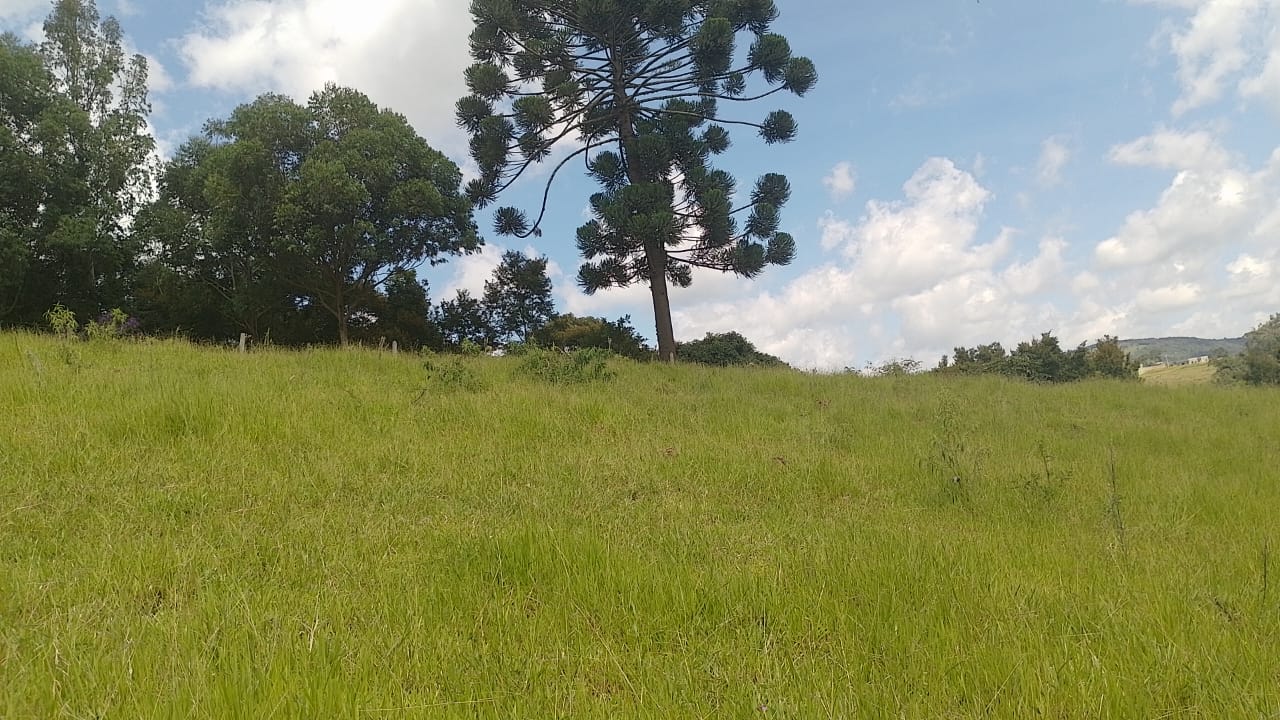 Sitio - com lago, nascente, tanques de água, casa ótima chegada na cidade de Pedra Bela -  | Código 1077