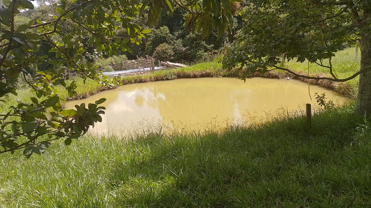 Sitio - com lago, nascente, tanques de água, casa ótima chegada na cidade de Pedra Bela -  | Código 1077