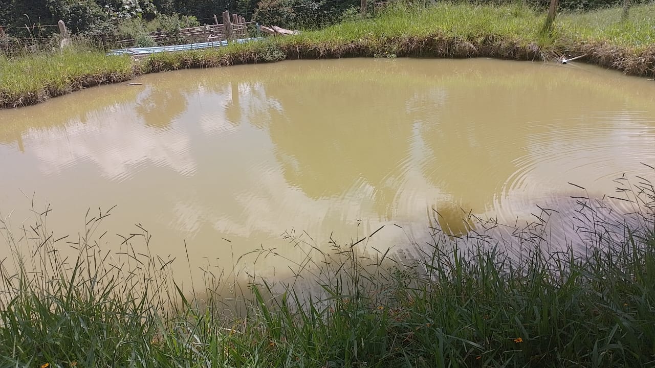 Sitio - com lago, nascente, tanques de água, casa ótima chegada na cidade de Pedra Bela -  | Código 1077