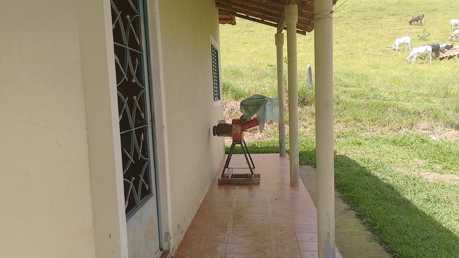 Sitio - com lago, nascente, tanques de água, casa ótima chegada na cidade de Pedra Bela -  | Código 1077