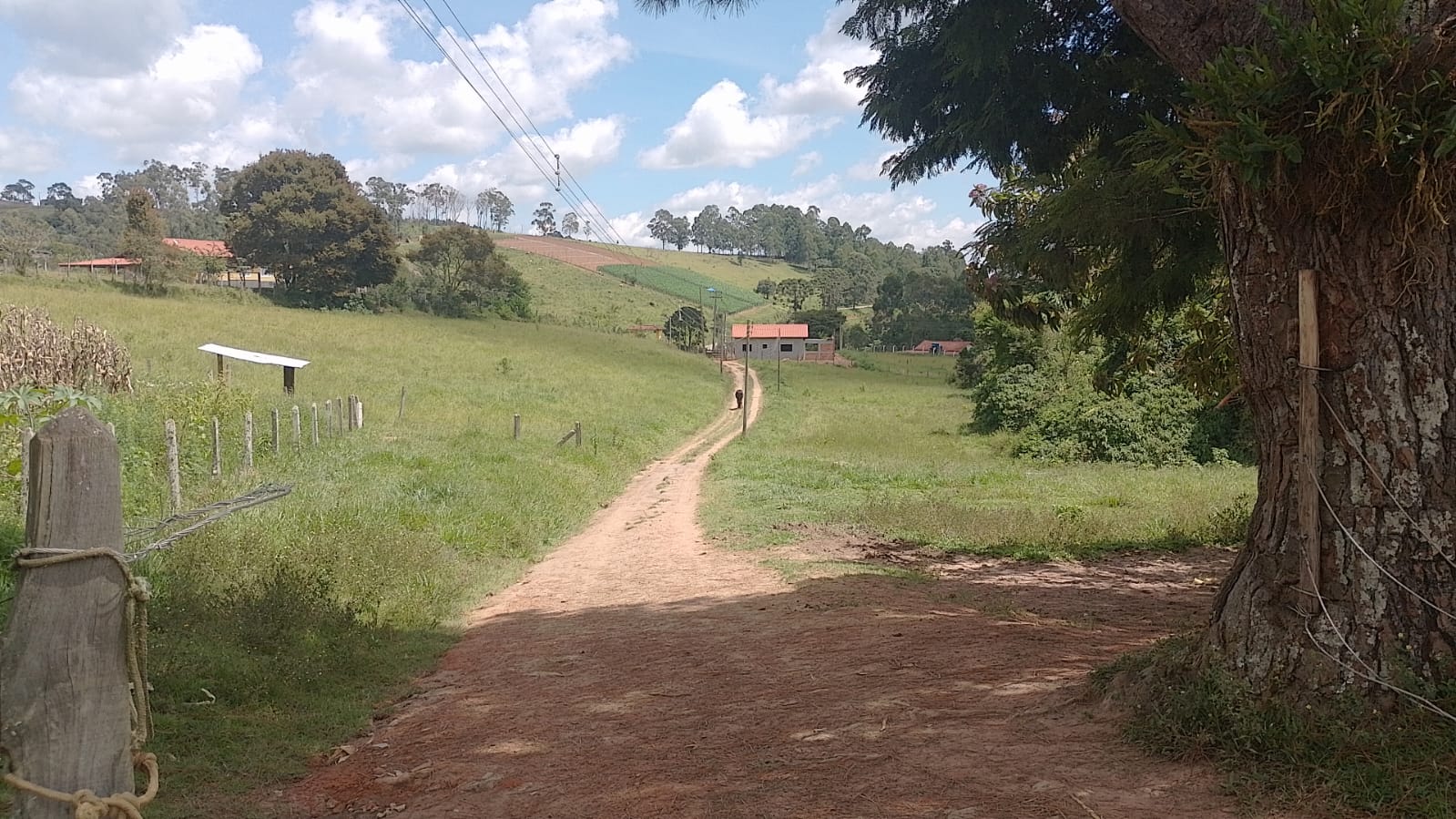 Sitio - com lago, nascente, tanques de água, casa ótima chegada na cidade de Pedra Bela -  | Código 1077