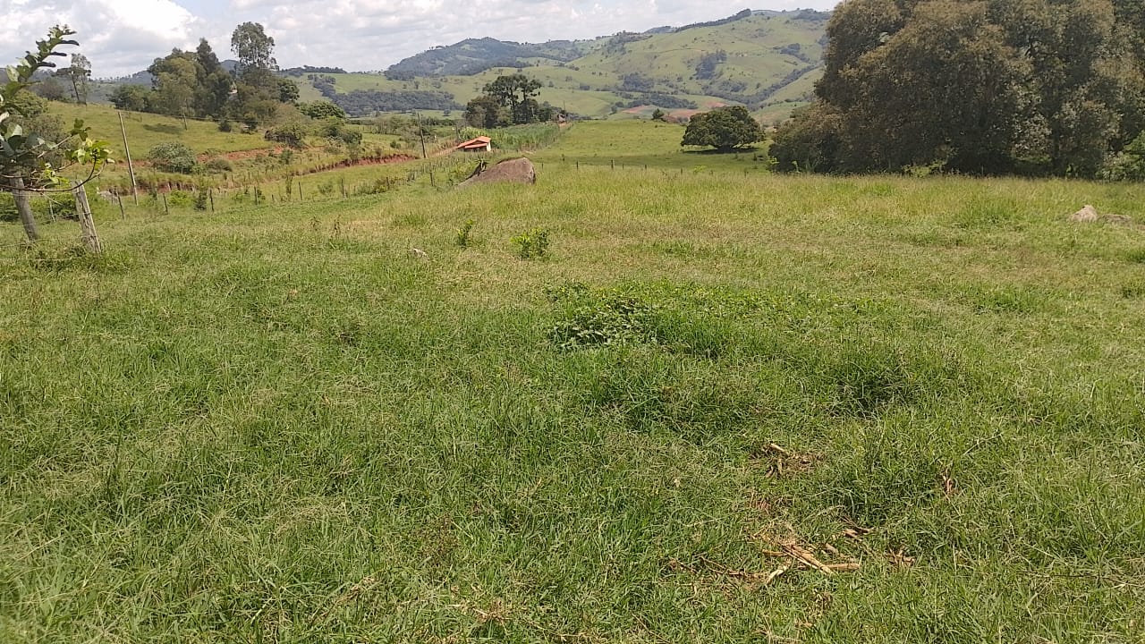 Sitio - com lago, nascente, tanques de água, casa ótima chegada na cidade de Pedra Bela -  | Código 1077