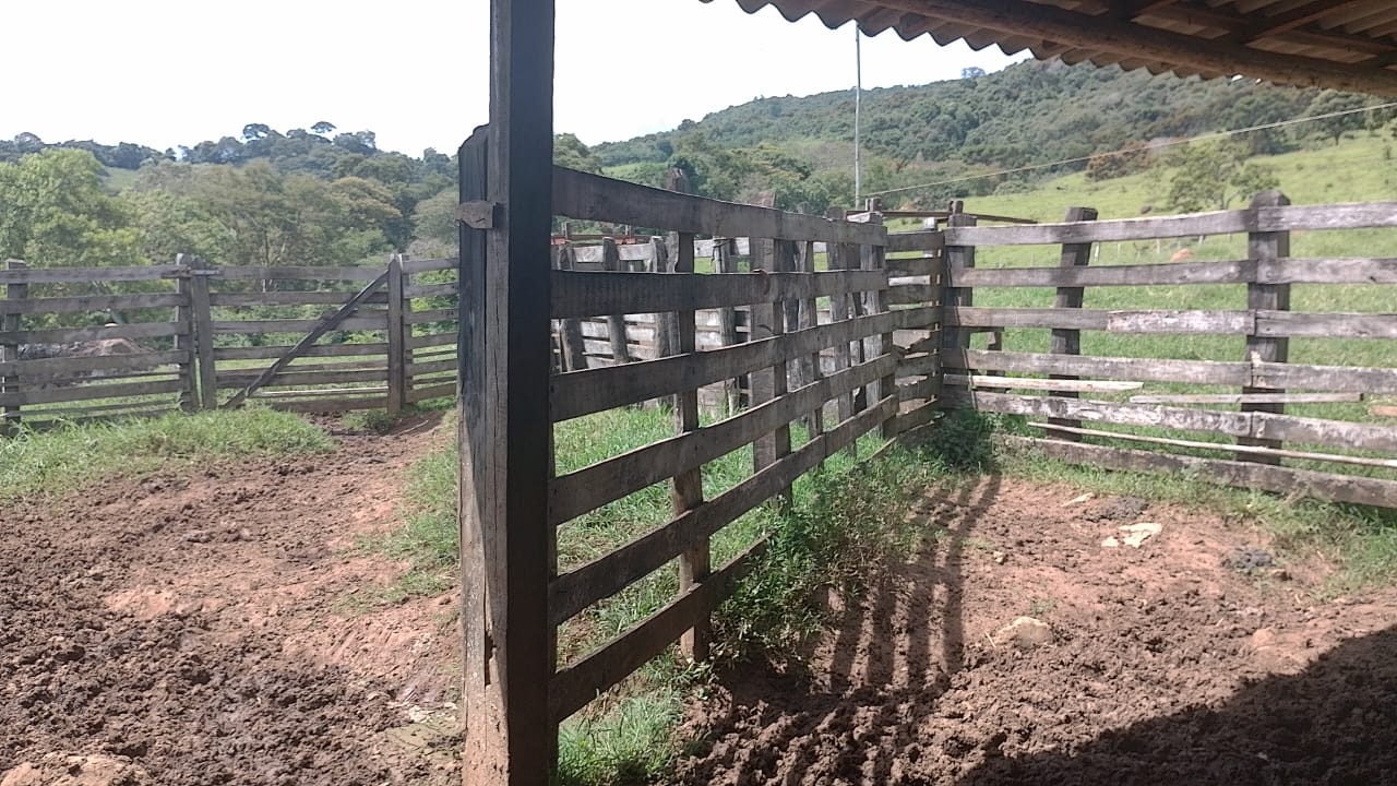 Sitio - com lago, nascente, tanques de água, casa ótima chegada na cidade de Pedra Bela -  | Código 1077