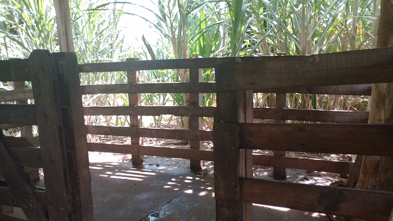 Sitio - com lago, nascente, tanques de água, casa ótima chegada na cidade de Pedra Bela -  | Código 1077