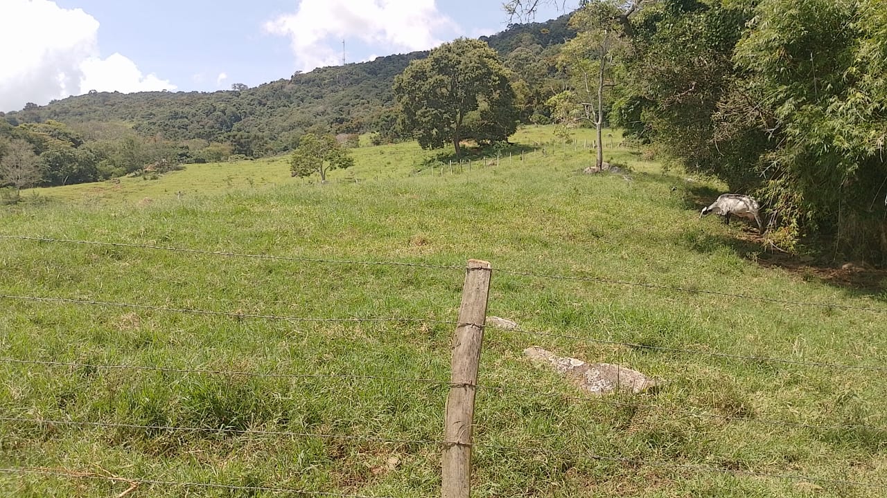 Sitio - com lago, nascente, tanques de água, casa ótima chegada na cidade de Pedra Bela -  | Código 1077