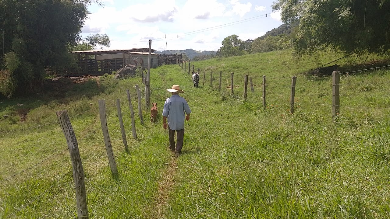 Sitio - com lago, nascente, tanques de água, casa ótima chegada na cidade de Pedra Bela -  | Código 1077