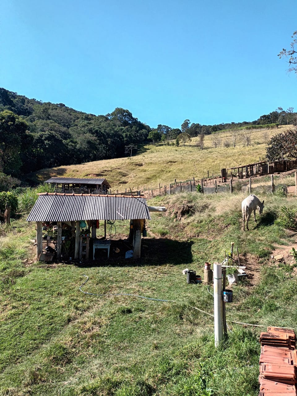 Sitio com água em abundancia; 2 casas bem construídas em Itapeva - MG | Código 1079