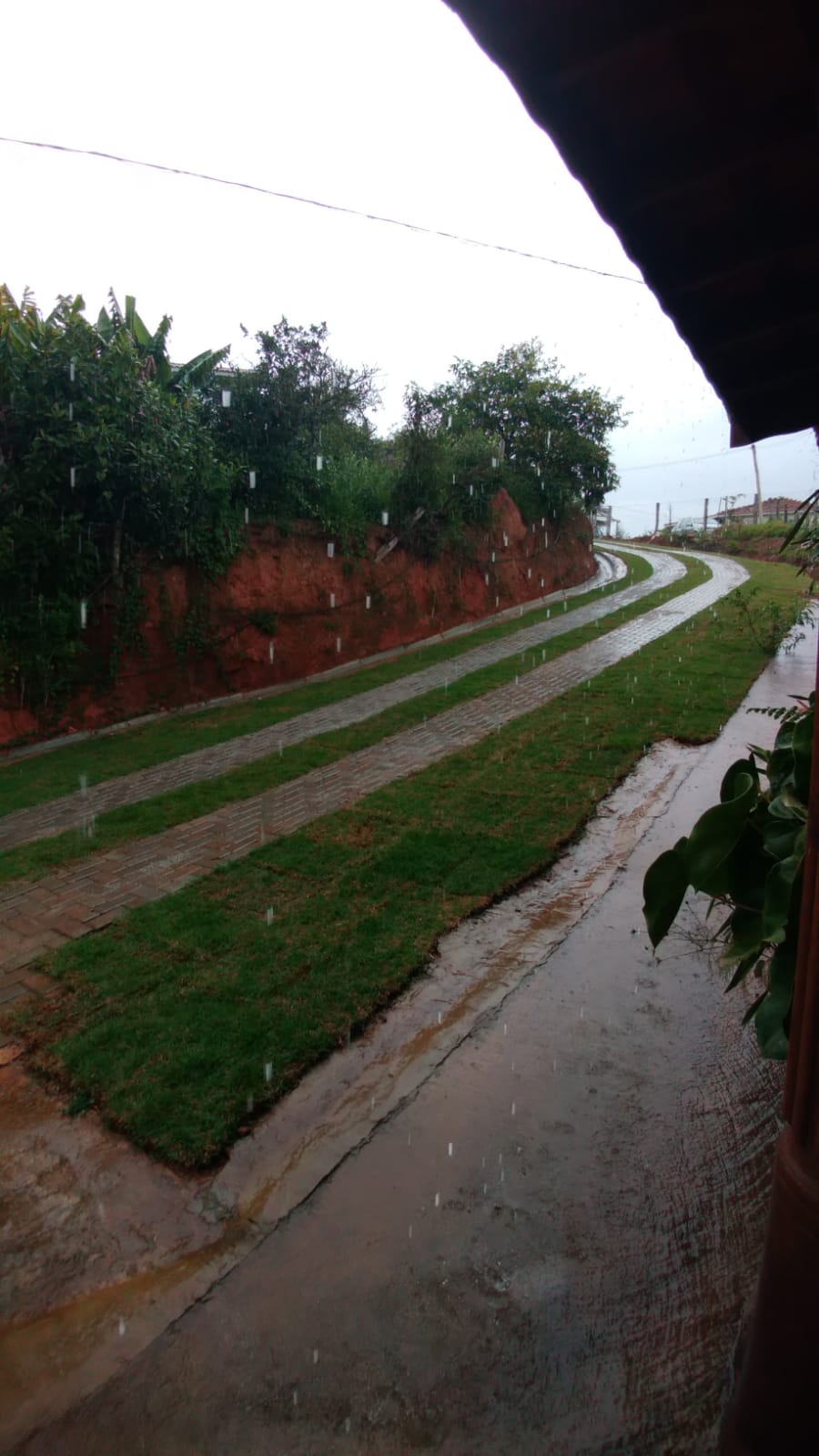 Sitio com água em abundancia; 2 casas bem construídas em Itapeva - MG | Código 1079