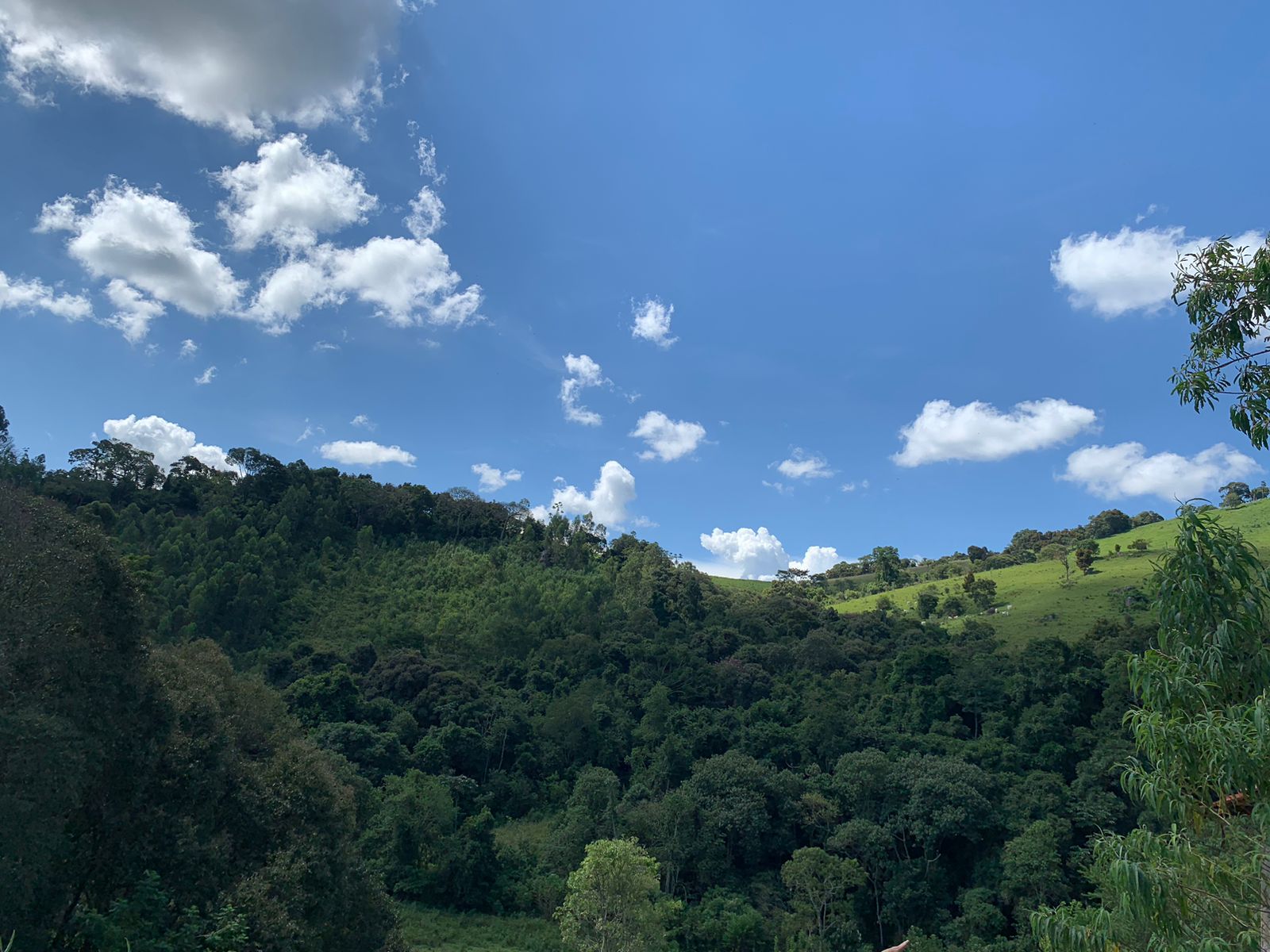 Sítio a venda no município de Toledo-MG. Localizado a 10 km da cidade | Código: 1080