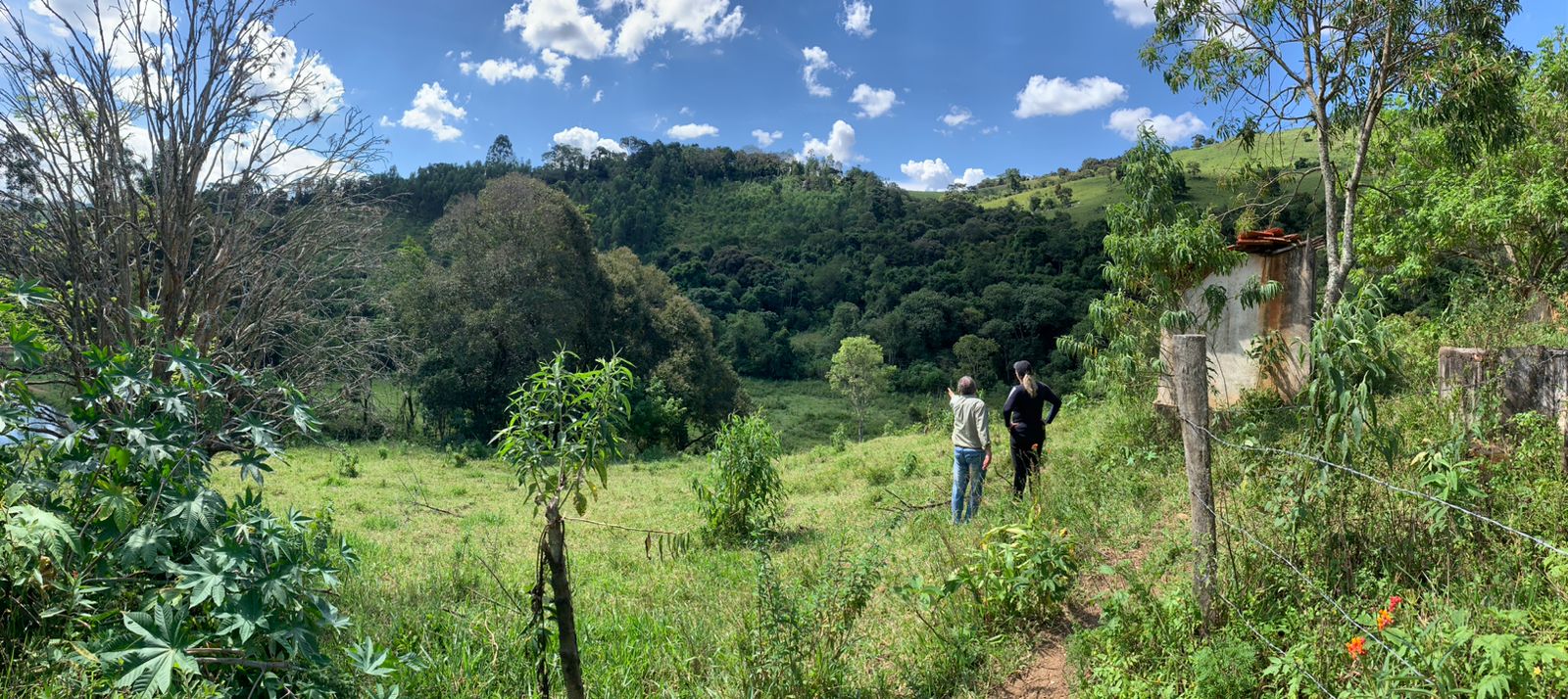 Sítio a venda no município de Toledo-MG. Localizado a 10 km da cidade | Código: 1080