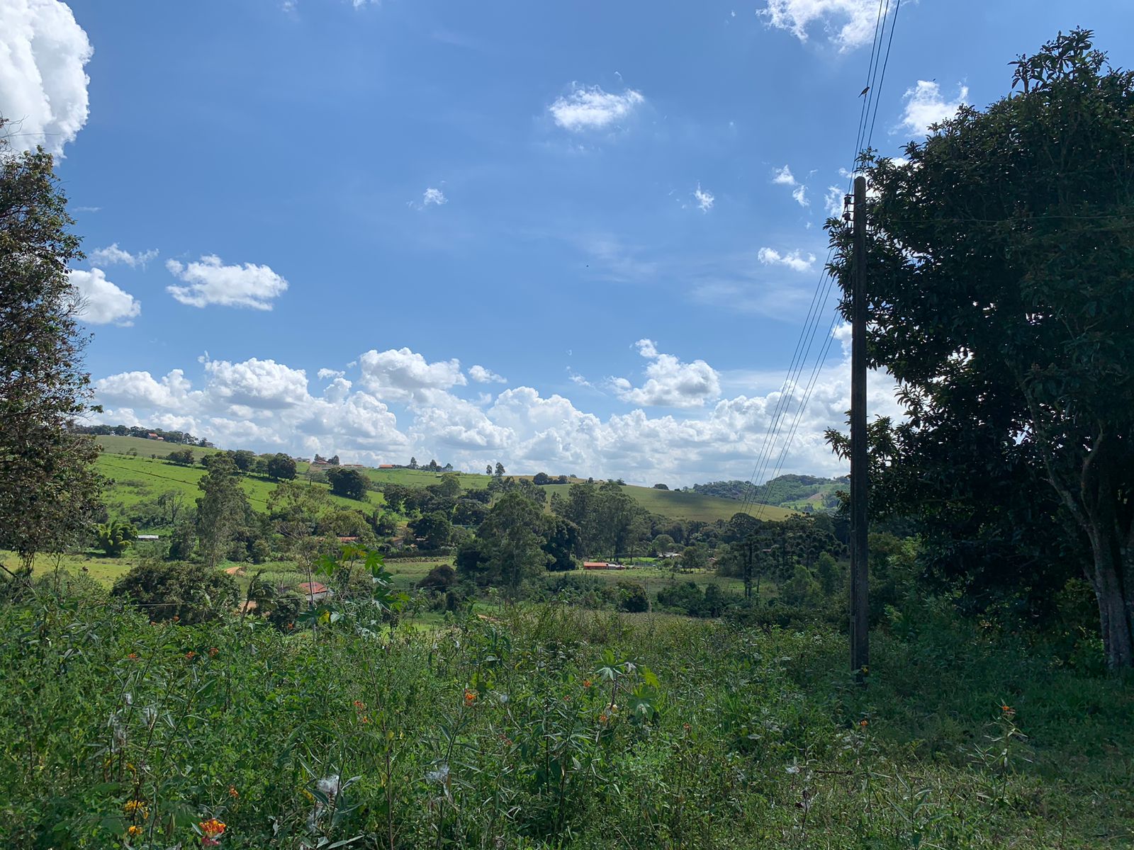 Sítio a venda no município de Toledo-MG. Localizado a 10 km da cidade | Código: 1080