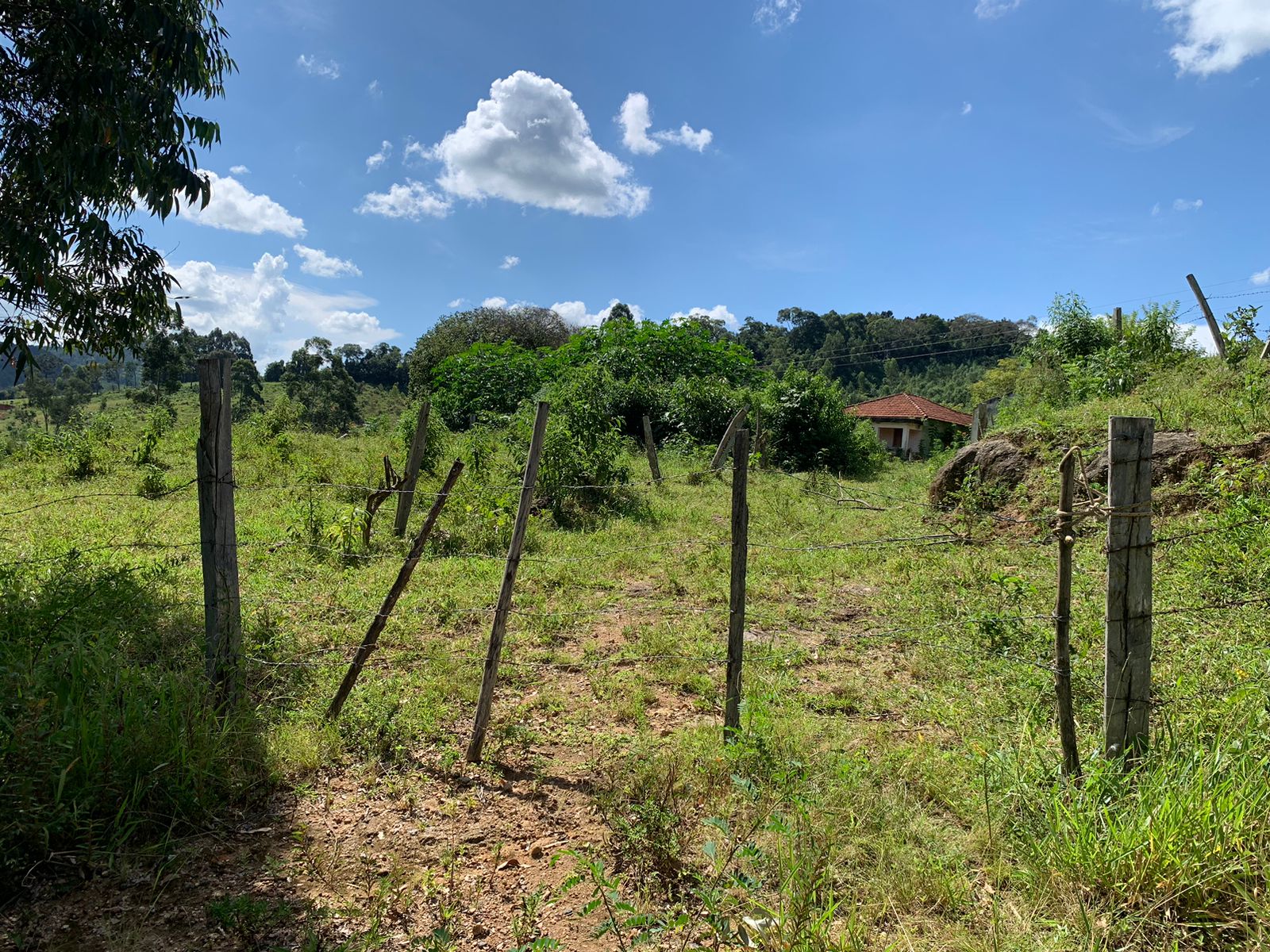 Sítio a venda no município de Toledo-MG. Localizado a 10 km da cidade | Código: 1080