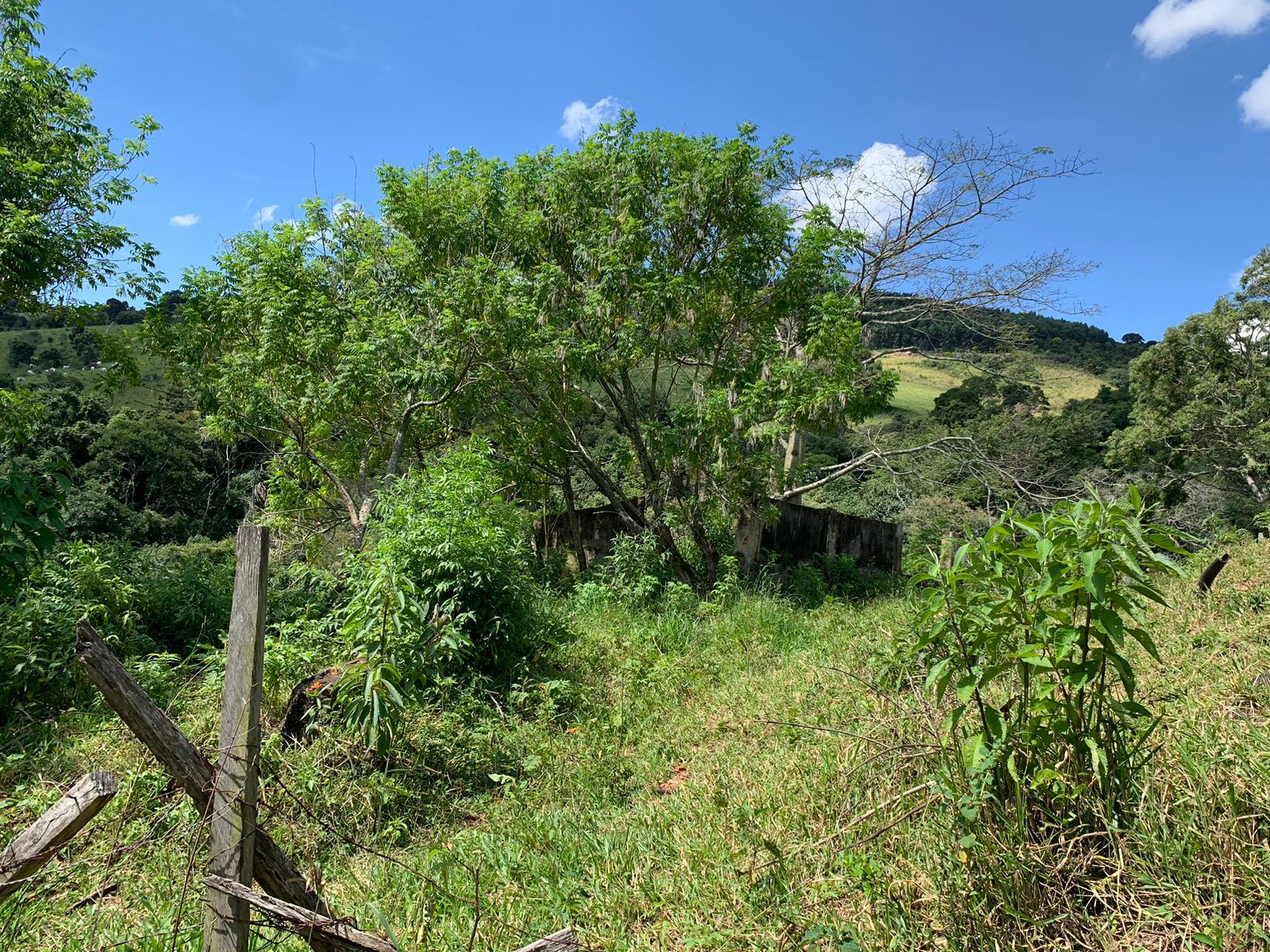 Sítio a venda no município de Toledo-MG. Localizado a 10 km da cidade | Código: 1080